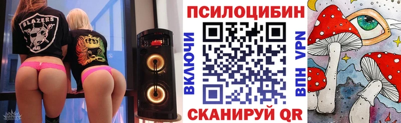 Псилоцибиновые грибы MAGIC MUSHROOMS  darknet состав  Опочка  где найти наркотики  omg ТОР 