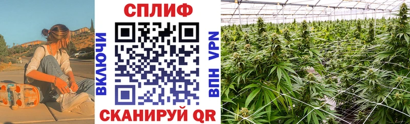 OMG ссылка  закладки  Опочка  Шишки марихуана SATIVA & INDICA 